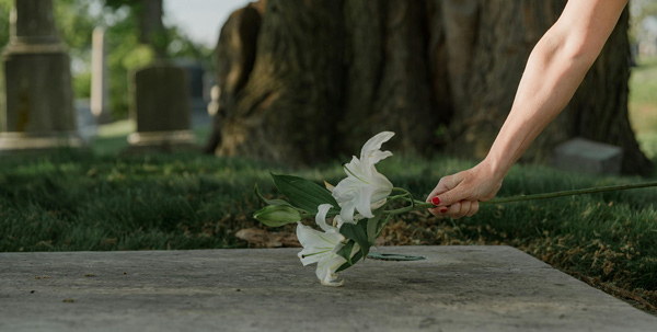 Fleur déposée sur une tombe